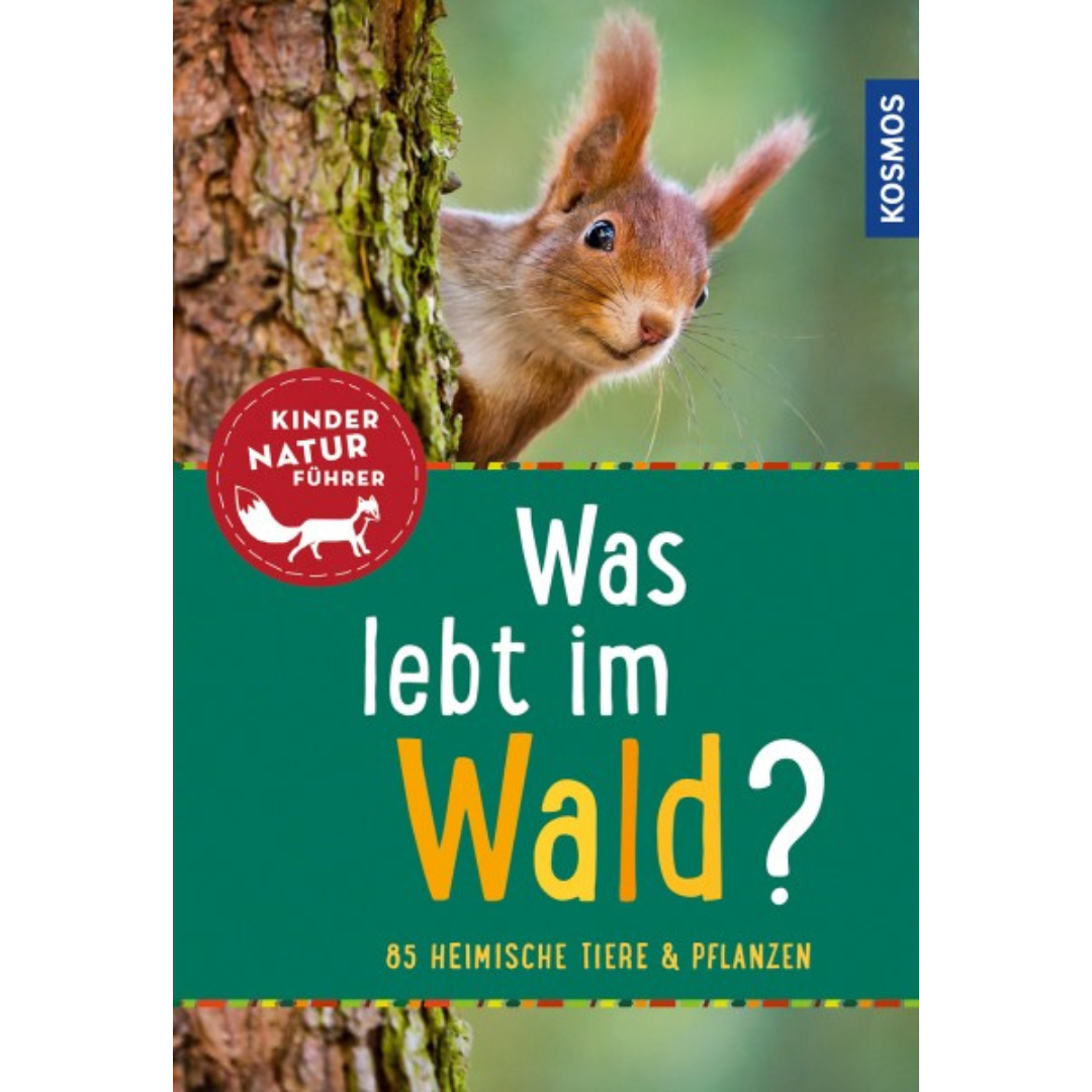 Qu'est-ce qui vit dans la forêt ? Guide nature pour enfants - 85 animaux et plantes locales