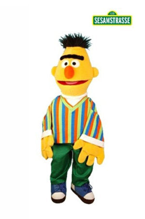 Bert