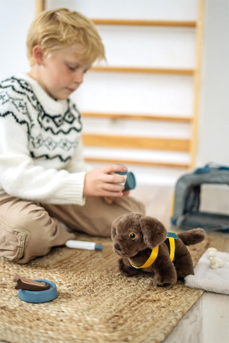 dog with bag and grooming set