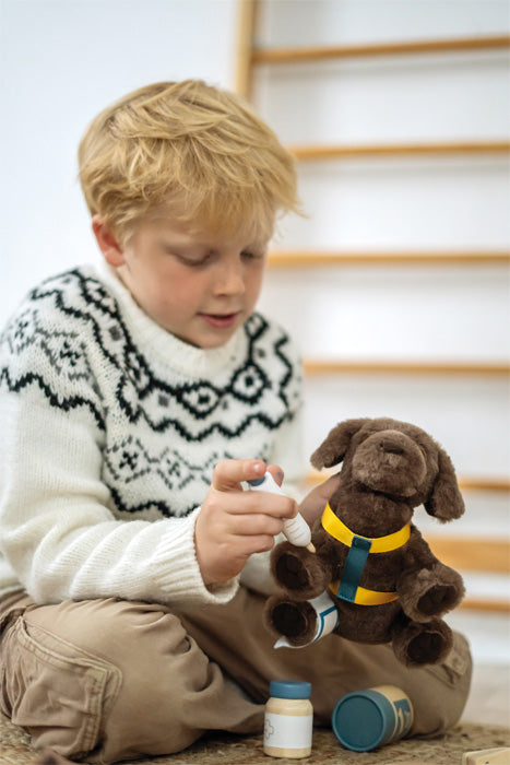 dog with bag and grooming set