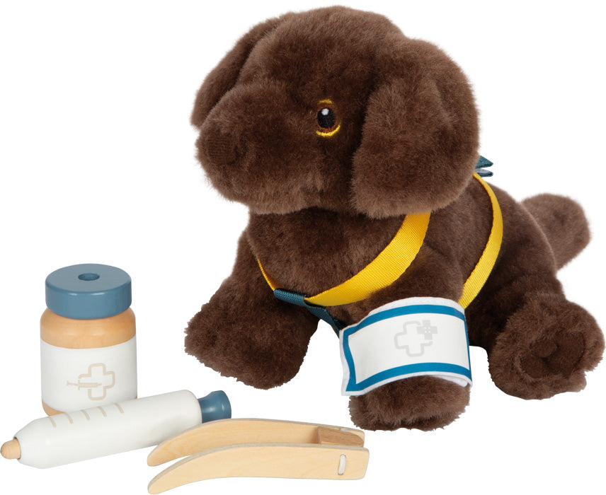 dog with bag and grooming set