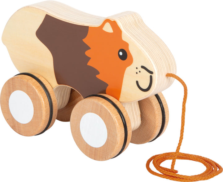 Pull-along guinea pig
