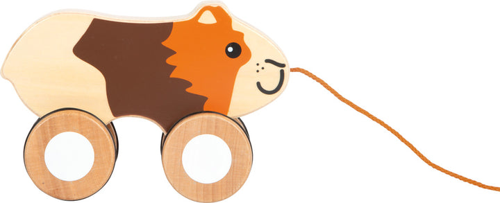 Pull-along guinea pig