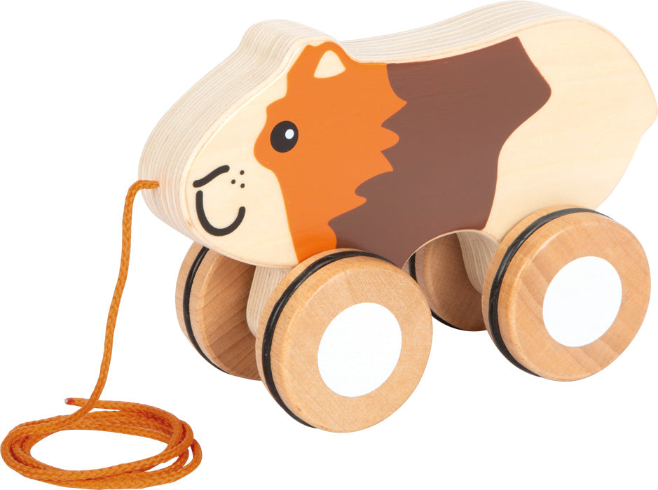 Pull-along guinea pig