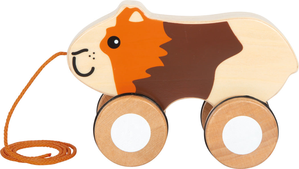 Pull-along guinea pig