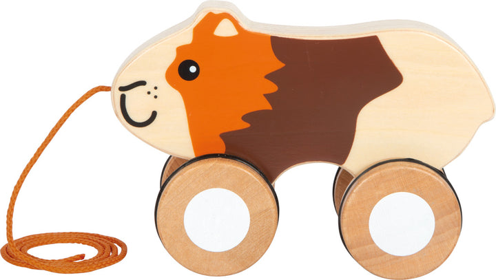 Pull-along guinea pig