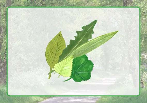 Ab ins Freie! 30 Aktivitäten in der Natur - für die Stadt und auf dem Land