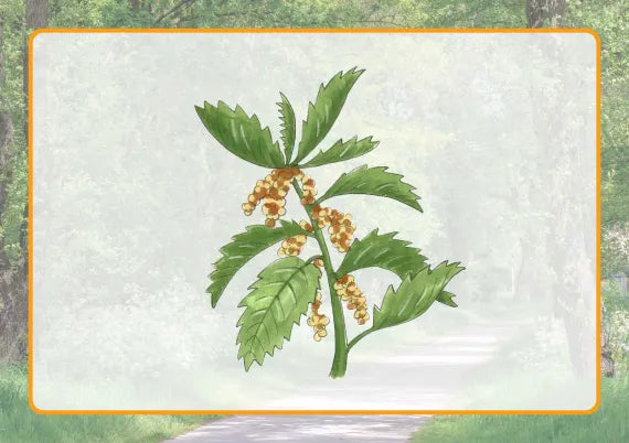 Ab ins Freie! 30 Aktivitäten in der Natur - für die Stadt und auf dem Land