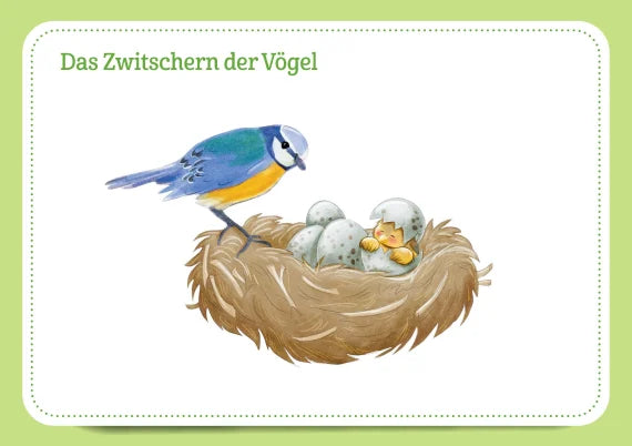 30 Massagegeschichten für Grundschulkinder - Entspannung im Frühling, Sommer, Herbst und Winter. Bildkarten für Kinder von 6 bis 10