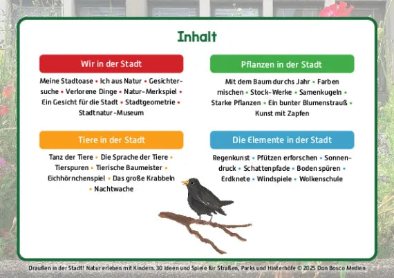 Draußen in der Stadt! Natur erleben mit Kindern. 30 Ideen und Spiele für Straßen, Parks und Hinterhöfe