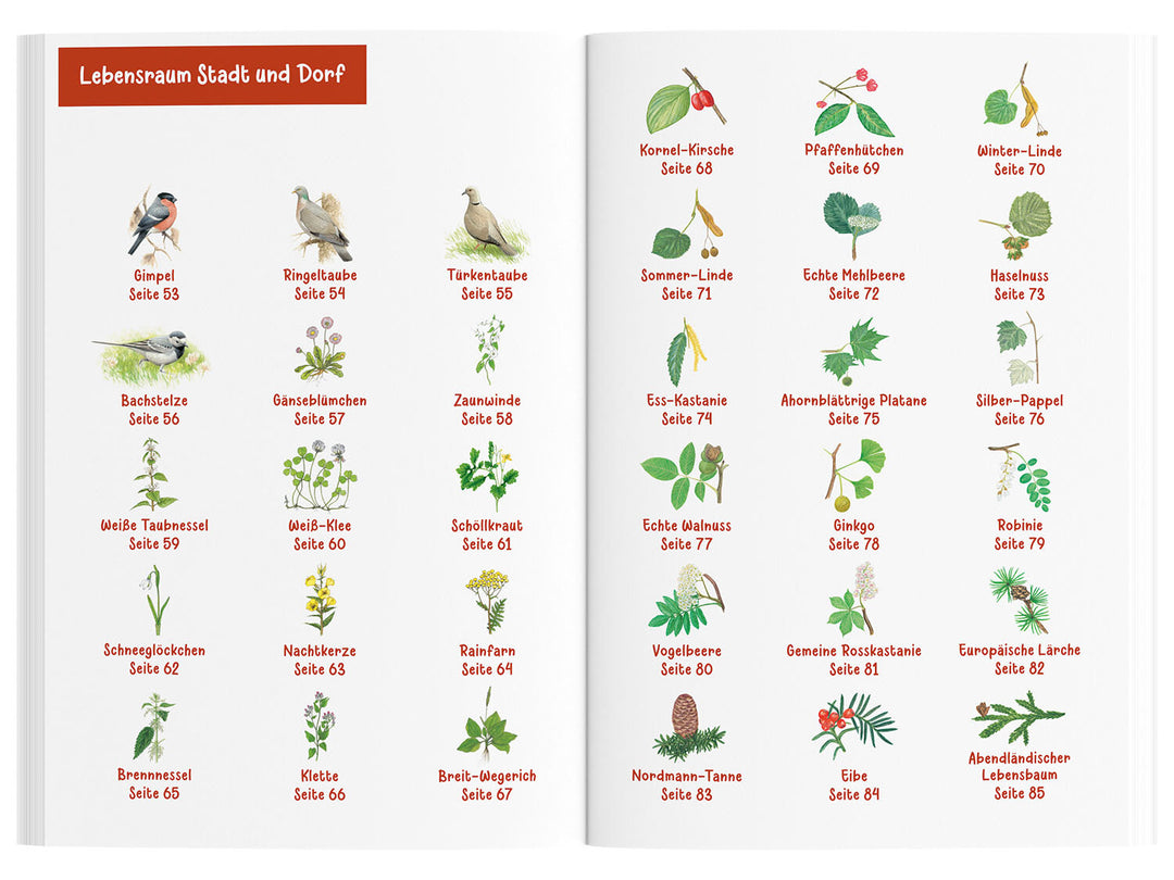 ANIMAL AND PLANT GUIDE. CHILDREN'S NATURE GUIDE 