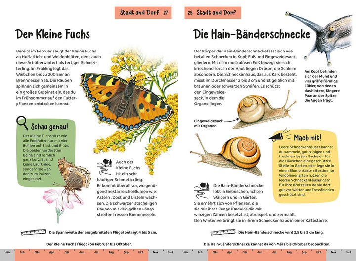 ANIMAL AND PLANT GUIDE. CHILDREN'S NATURE GUIDE 