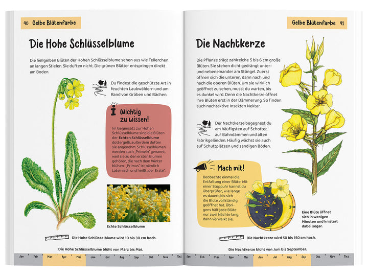 WHAT IS BLOOMING THERE? CHILDREN'S NATURE GUIDE 