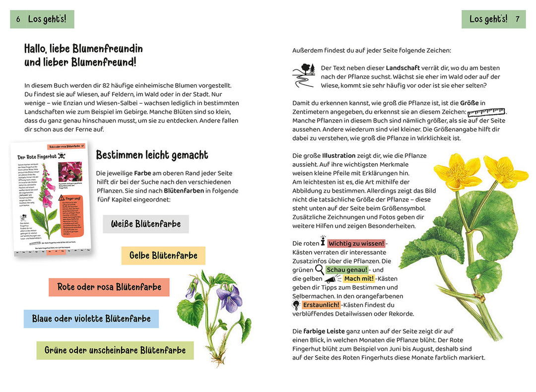 WHAT IS BLOOMING THERE? CHILDREN'S NATURE GUIDE 