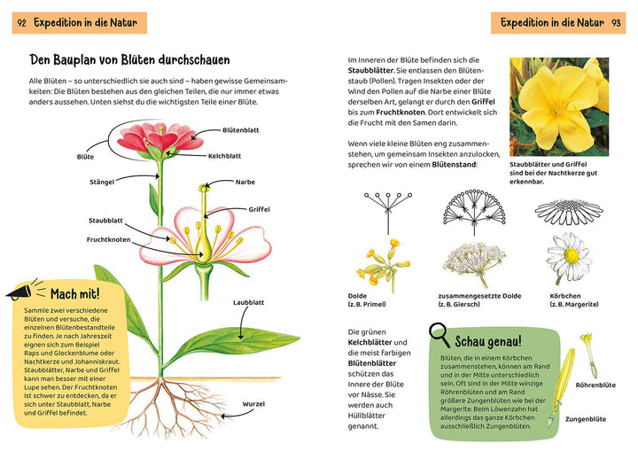 WHAT IS BLOOMING THERE? CHILDREN'S NATURE GUIDE 