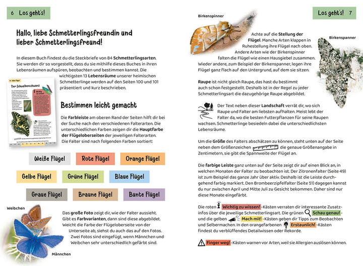 WELCHER SCHMETTERLING IST DAS? KINDERNATURFÜHRER