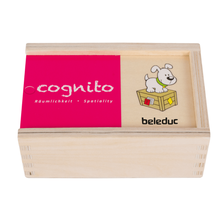 Cognito « spatial » 