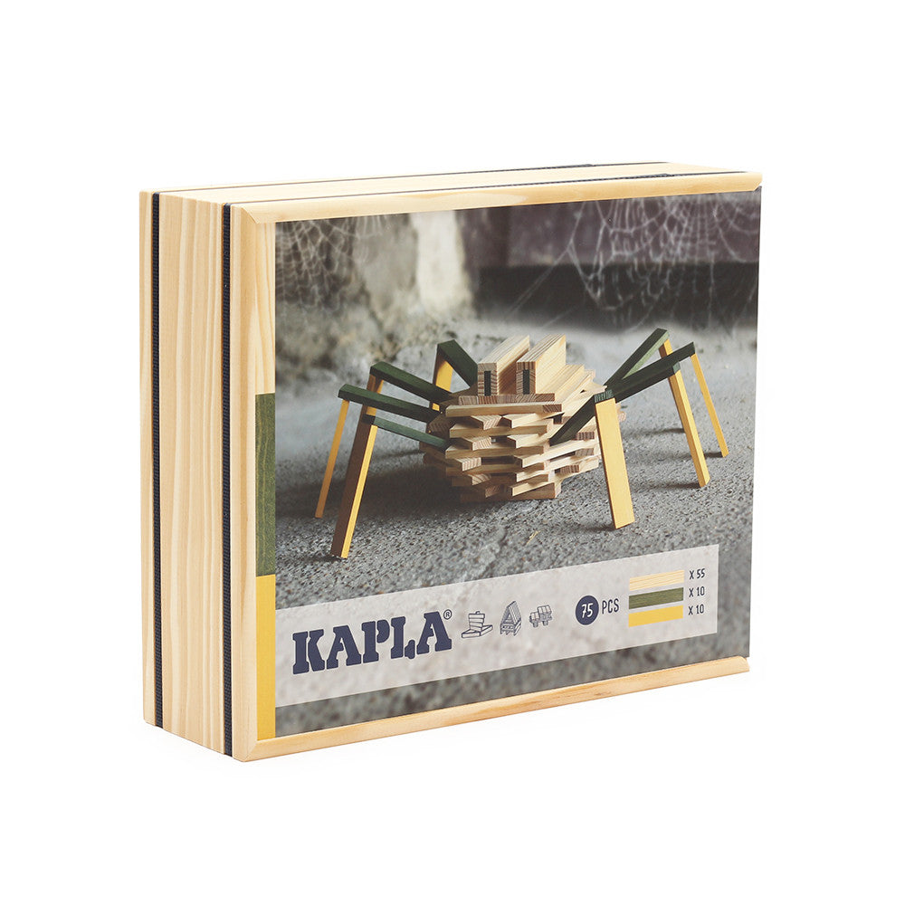 Kit de construction araignée